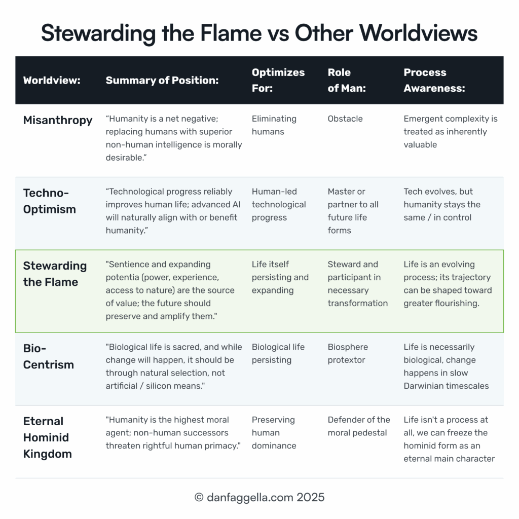 Stewarding the Flame vs Other Worldviews