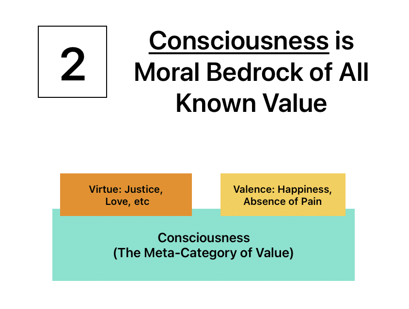 [Slide 2] Consciousness is Moral Bedrock of All Known Value
