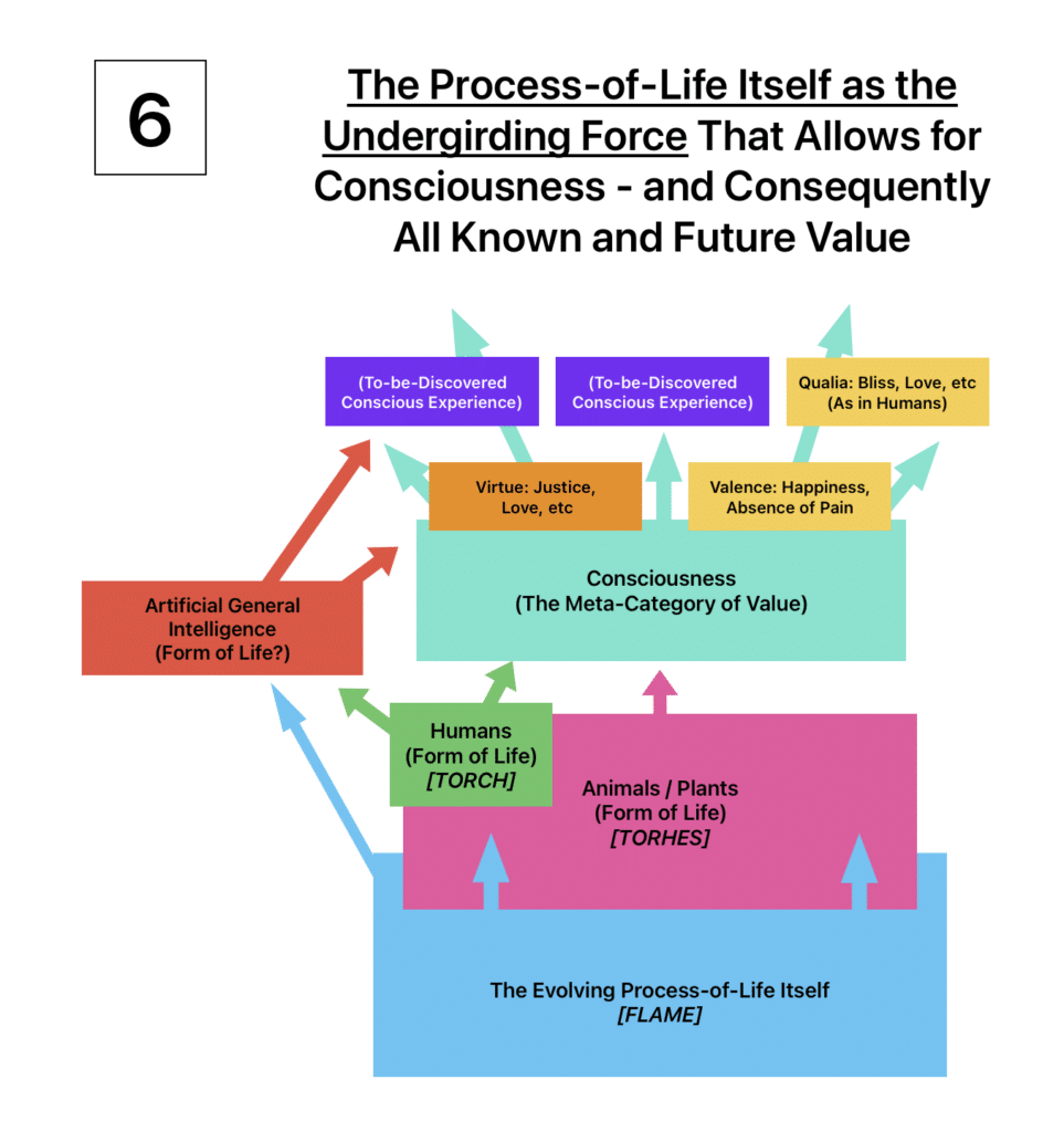 6 — The Process-of-Life Itself as the Undergirding Force That Allows for Consciousness - and Consequently All Known and Future Value