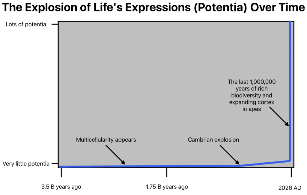 The Explosion of Life's Expressions (Potentia) Over Time