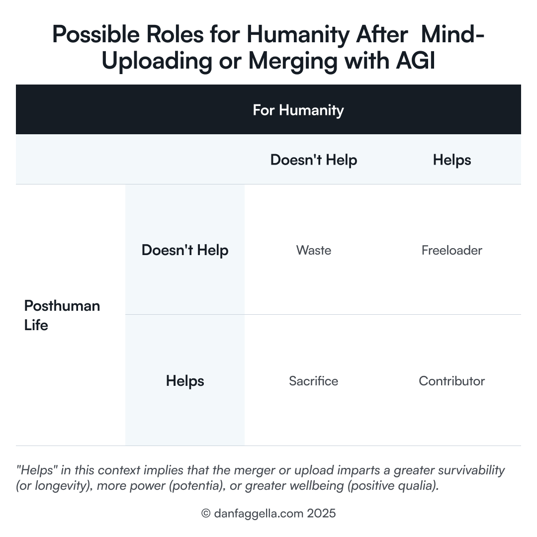 Possible Roles for Humanity After Mind-Uploading or Merging with AGI