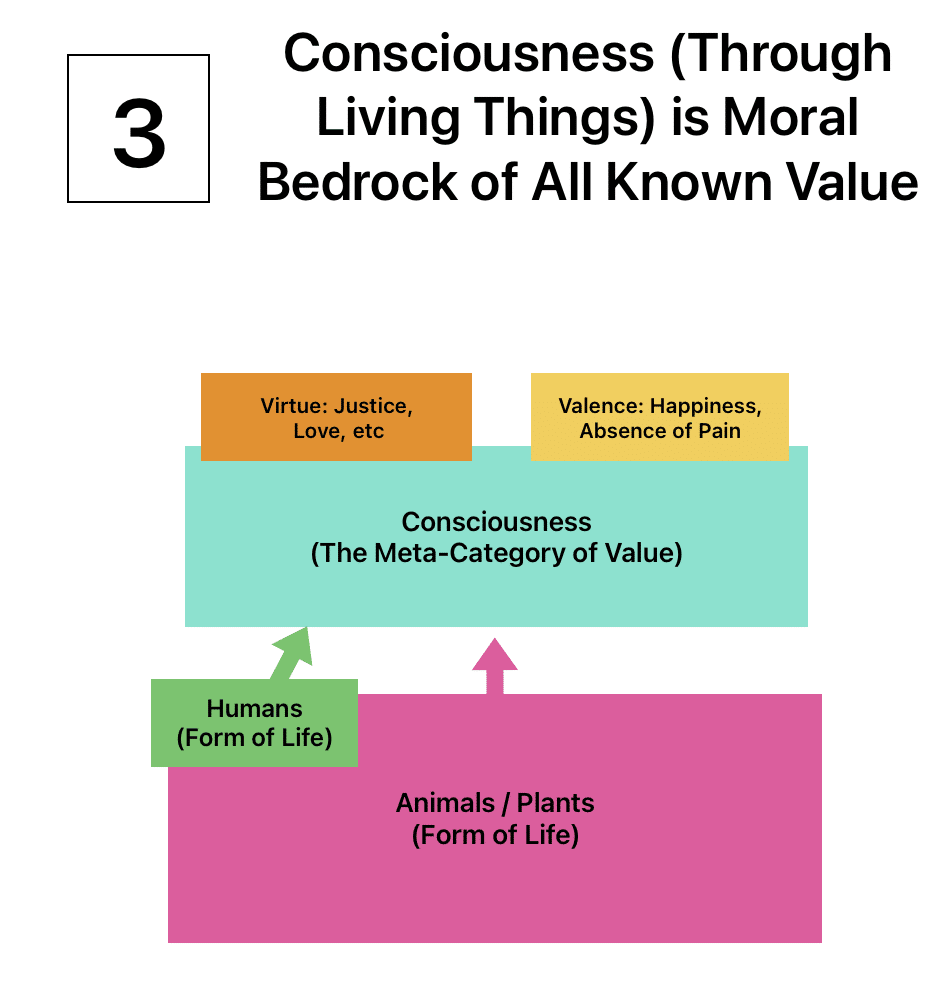 3. Consciousness (Through Living Things) is Moral Bedrock of All Known Value