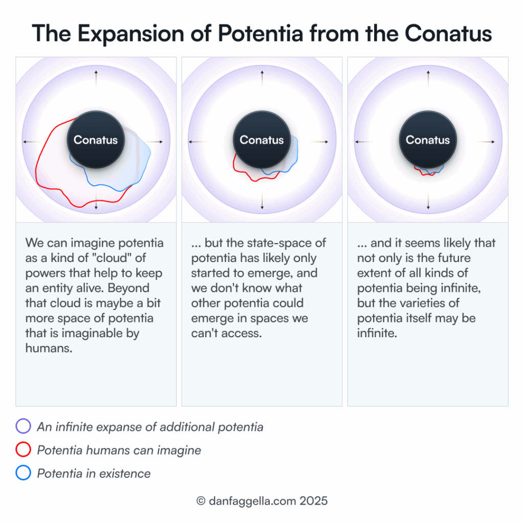 The Expansion of Potentia from the Conatus